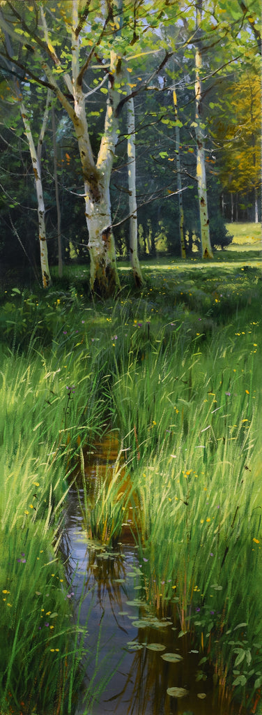 Summer Aspens