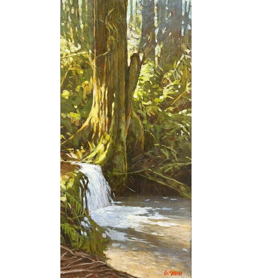 Winter Overflow