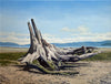 Merv Brandel artwork 'Sea Sculpture' at White Rock Gallery