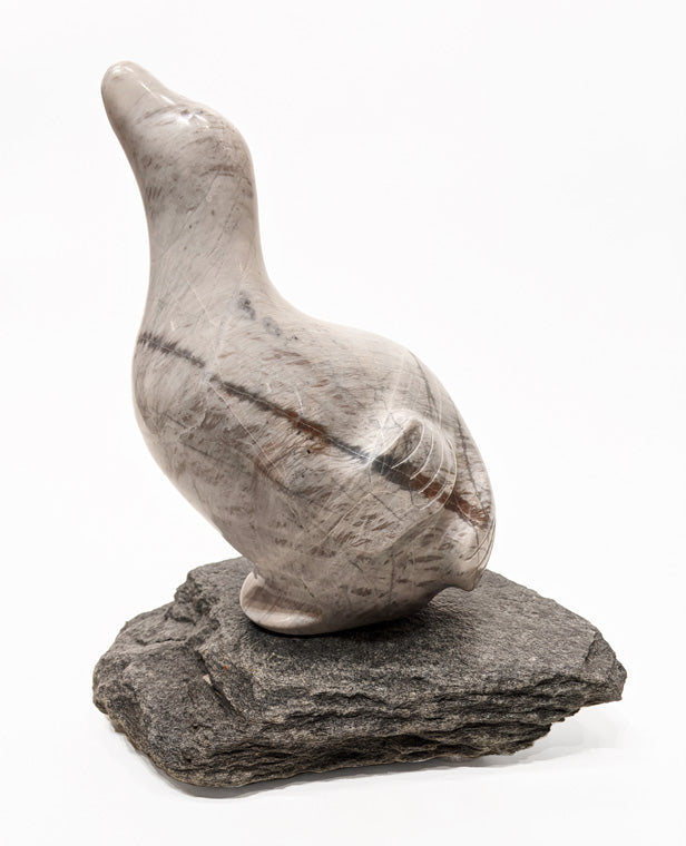 Herb Latreille artwork 'Seal' at White Rock Gallery