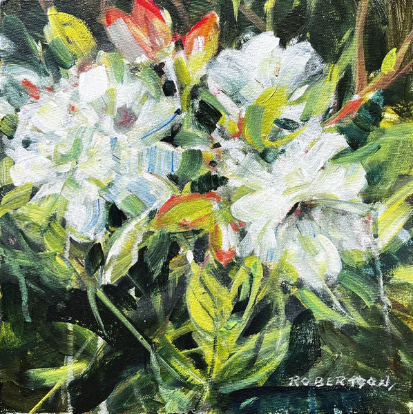 Janice Robertson artwork 'Summer Dreams II' at White Rock Gallery