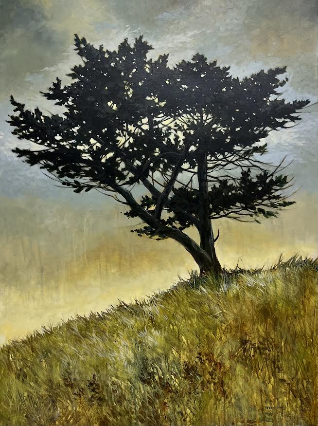 Janice Robertson artwork 'Black Pine' at White Rock Gallery