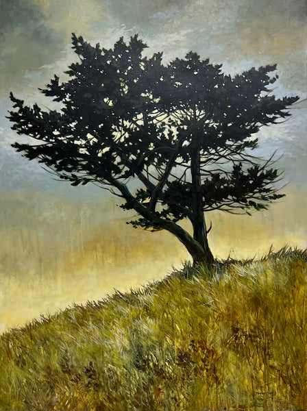 Janice Robertson artwork 'Black Pine' at White Rock Gallery