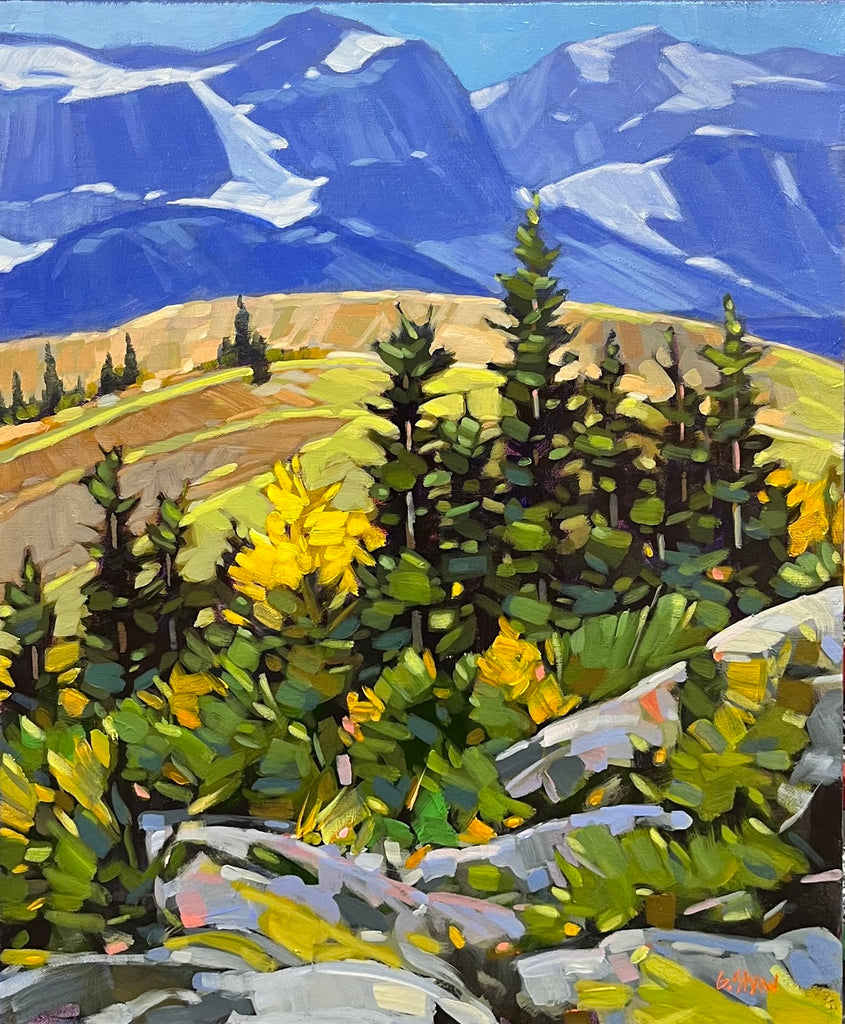 Graeme Shaw artwork 'Foothills Country' at White Rock Gallery