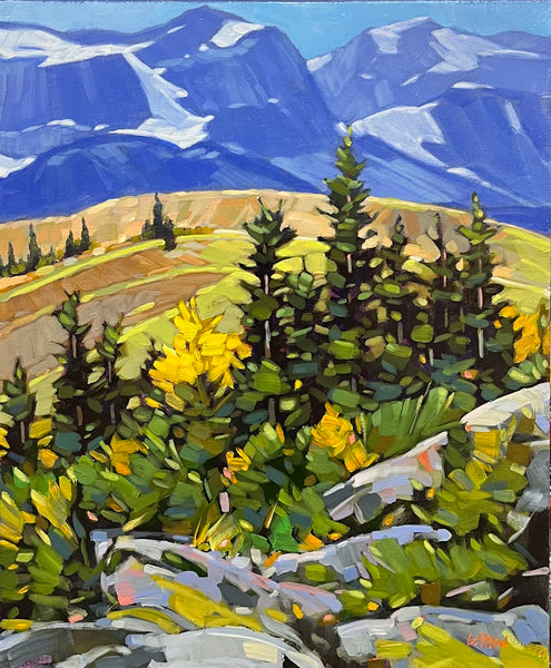 Graeme Shaw artwork 'Foothills Country' at White Rock Gallery