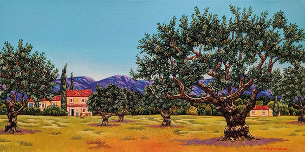 Olive Grove in Provence